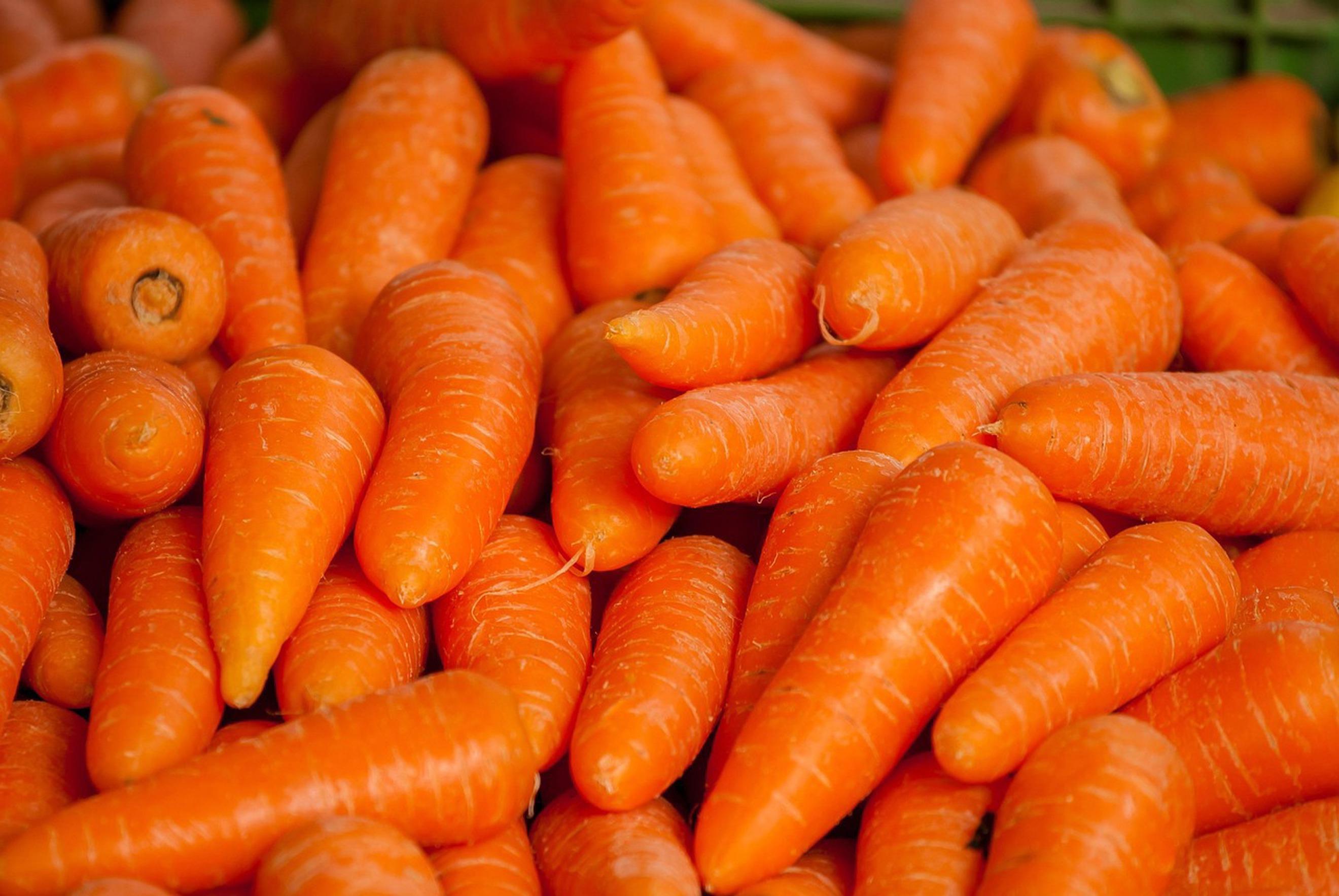 Organic Carrots