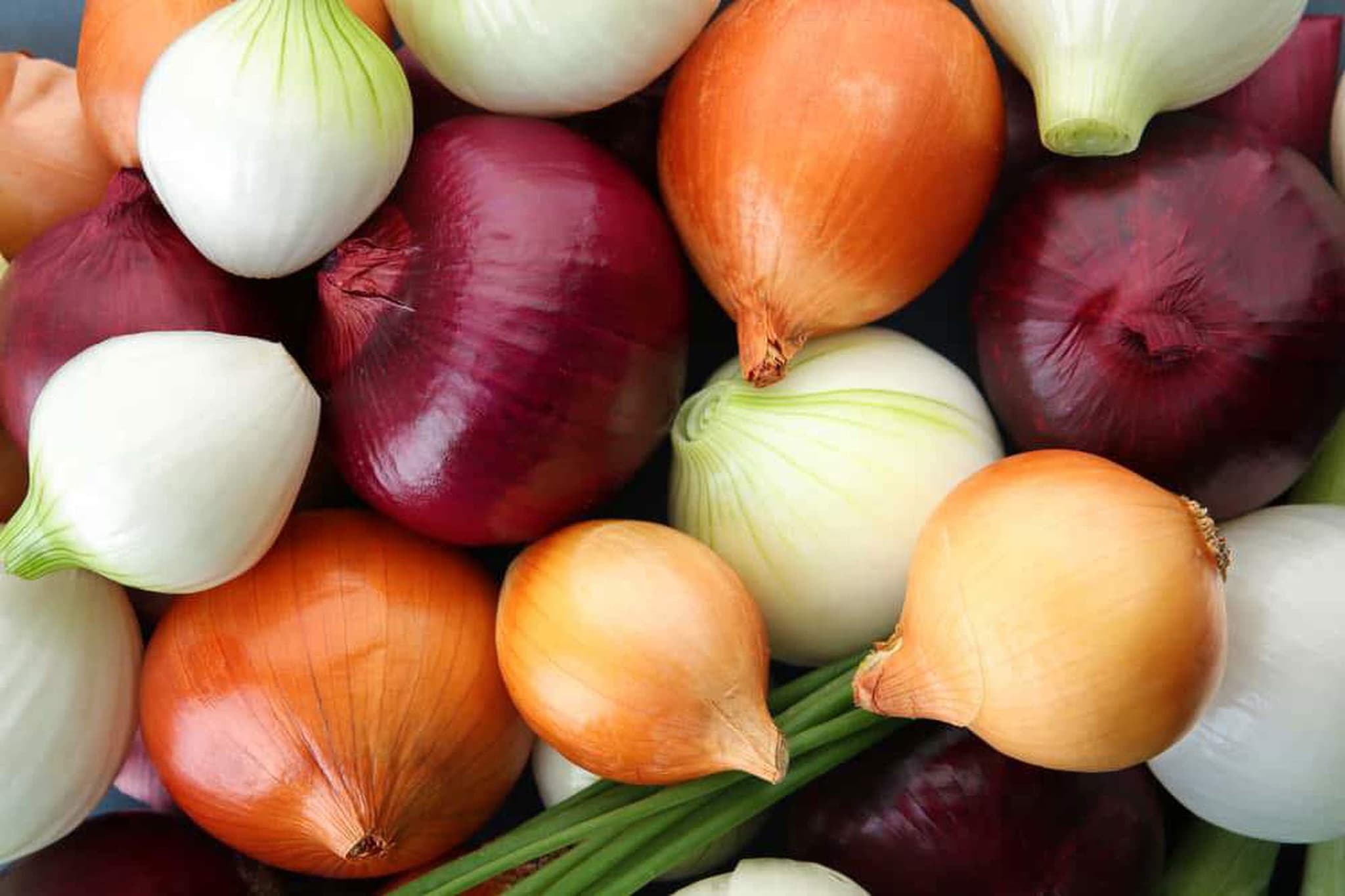 Organic Onions